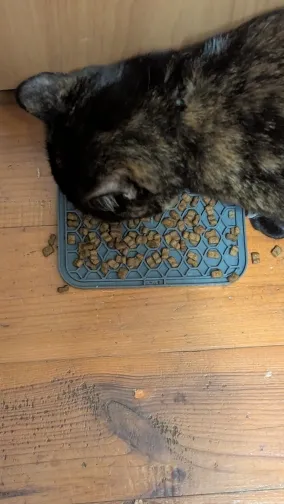 Cat licking food from the LickJoy Mat, photo submitted by a verified buyer